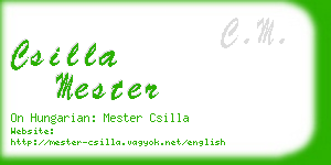 csilla mester business card